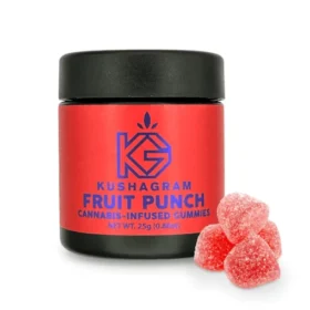 Kushagram 100mg Fruit Punch Gummies